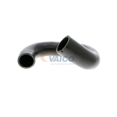 Imagem de VAICO V24 0769 Mangueira Para o Turbocompressor com tubagem Q+, original equipment manufacturer quality FIAT: 500 Hatchback