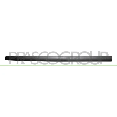 Imagem de PRASCO PG4201403 Friso Porta PEUGEOT: 307 Hatchback, Carrinha, SW