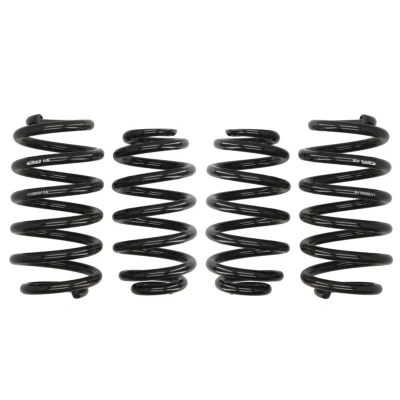 Imagem de EIBACH Pro Kit E10 15 003 14 22 de suspensão, molas