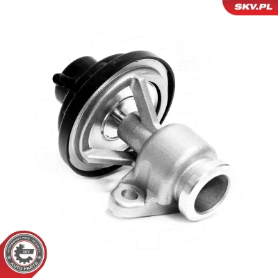Imagem de Válvula de recirculação dos gases escape ESEN SKV 14SKV321