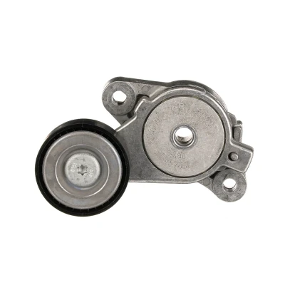 Imagem de GATES FleetRunner Micro V Kit T39040 Polia Tensora VOLKSWAGEN: Passat B6 Sedan, Scirocco III, Polo Hatchback, SEAT: Ibiza 4, 4 ST