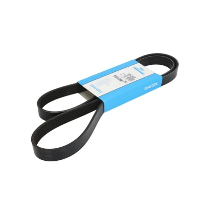 Imagem de DAYCO 6PK1495 Correia trapezoidal estriada 1495,0 6 CITROËN: Xantia Hatchback