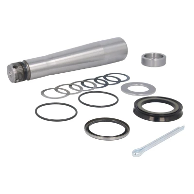 Imagem de Kit de reparação, pivô do munhão eixo C.E.I 198386