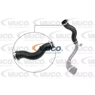 Imagem de VAICO V25 1030 Mangueira Para o Turbocompressor Borracha com entretela Q+, original equipment manufacturer quality FORD: S Max Mk1, MONDEO 4