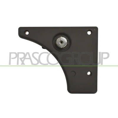 Imagem de PRASCO FT9308312 Puxadores de Porta interior, traseira esquerda preto FIAT: Ducato III Van, Minibus
