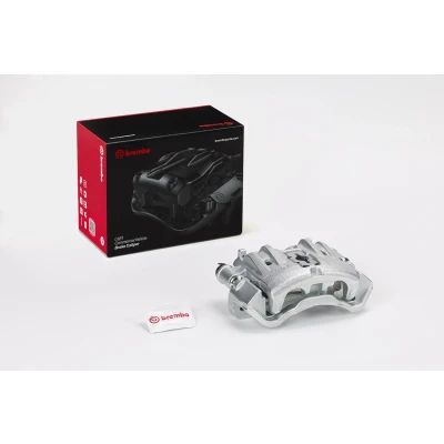 Imagem de BREMBO F BR 032B Pinça de travão Fundição cinzenta IVECO: DAILY 3 Kasten/Kombi, 3, 4, NISSAN: NT400 Cabstar, Cabstar
