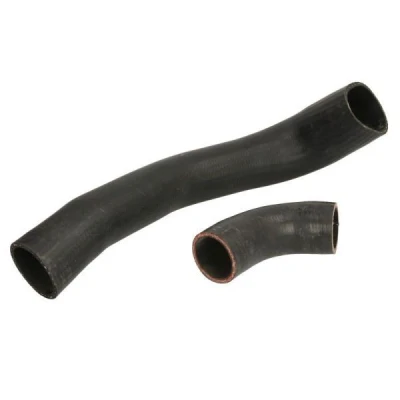 Imagem de Mangueira de ar reforço THERMOTEC DCG183TT