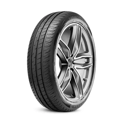 Imagem de Radar Dimax ECO 195/55 R20 95H carro Pneus de verão RENAULT: GRAND SCENIC 4 RASYCN0130