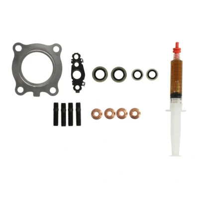 Imagem de Kit de montagem, turbocompressor EVORON EVMK0168