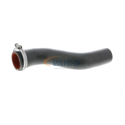 Imagem de VAICO V46 0738 Mangueira Para o Turbocompressor Borracha com entretela Q+, original equipment manufacturer quality RENAULT: Kangoo II Express