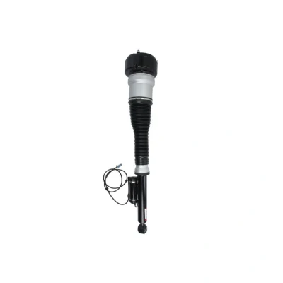Imagem de Magnum Technology APM015MT Elemento de suspensão pneumática traseira direita MERCEDES BENZ: Classe S Sedan