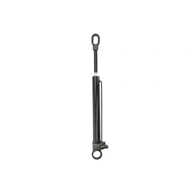 Imagem de FEBI BILSTEIN 34192 Cilindro de levantamento, cabina
