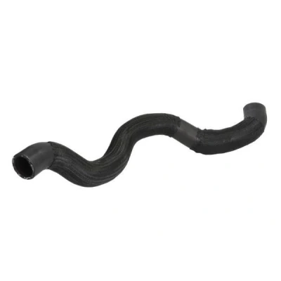 Imagem de THERMOTEC Mangueira de Radiador em cima EPDM (borracha etileno propileno dieno) DWR111TT DACIA: SANDERO 2, Lodgy