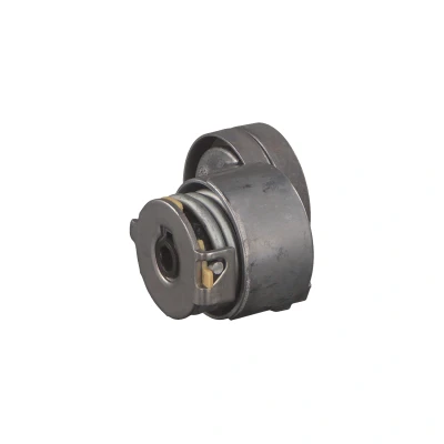 Imagem de FEBI BILSTEIN 32581 Tensor da Correia MITSUBISHI: Carisma Hatchback, Sedan
