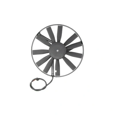 Imagem de Ventilador, arrefecimento do motor THERMOTEC D8M006TT
