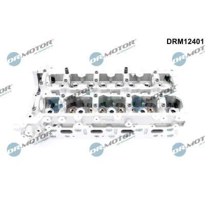 Imagem de Cabeça do motor Dr.Motor Automotive DRM12401