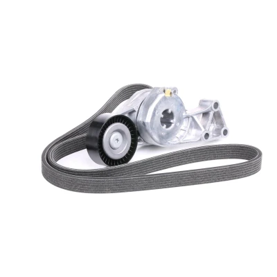 Imagem de SKF VKMA 31204 Jogo de correias trapezoidais estriadas VOLKSWAGEN: Golf 4, Bora Sedan, Sharan I, SEAT: Ibiza 2, Leon I Hatchback, Toledo 2 Limousine