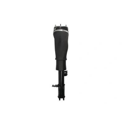 Imagem de Magnum Technology APL018MT Elemento de suspensão pneumática à frente, lado direito LAND ROVER: Range Rover 3