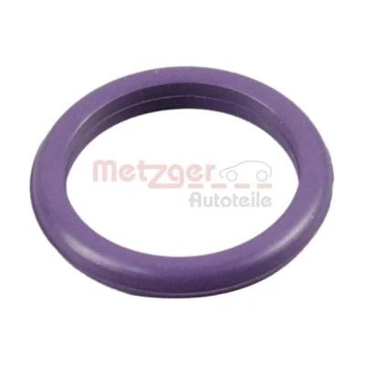 Imagem de METZGER 4010355 Juntas Bomba de água