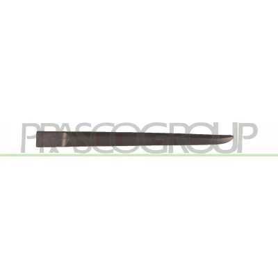 Imagem de PRASCO RN3251454 Friso Porta RENAULT: CLIO 3