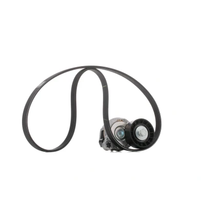 Imagem de SKF VKMA 36244 Jogo de correias trapezoidais estriadas VOLVO: XC60 I, V70 3