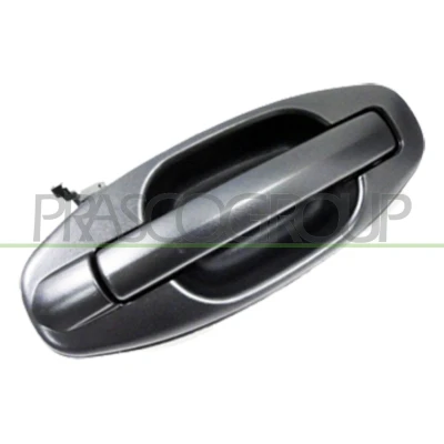 Imagem de Pega da porta exterior PRASCO HN8128101