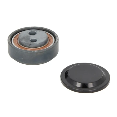 Imagem de SKF VKM 31040 Polia Tensora AUDI: A4 B6 Sedan, A6 C5 Avant, VOLKSWAGEN: Passat B5 GP Variant, Sedan
