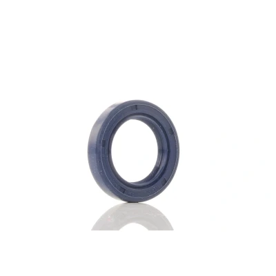 Imagem de REINZ 81 53224 00 Retentor da Árvore de Cames HONDA: CIVIC 5 Stufenheck, Coupe, 6 Stufenheck