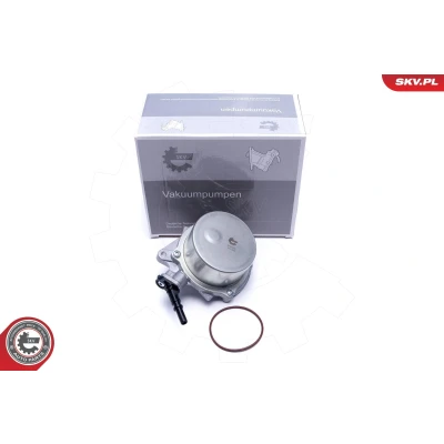 Imagem de ESEN SKV 18SKV051 Bomba de Vácuo MINI: Hatchback, PEUGEOT: 3008 I, 207 SW
