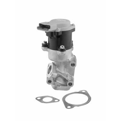 Imagem de WAHLER 712057D Válvula EGR elétrico PEUGEOT: 407 Sedan, Coupe, SW, CITROËN: C5 III Carrinha
