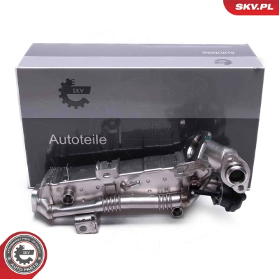 Imagem de ESEN SKV 14SKV239 Válvula EGR BMW: 5 Touring, 3 Sedan