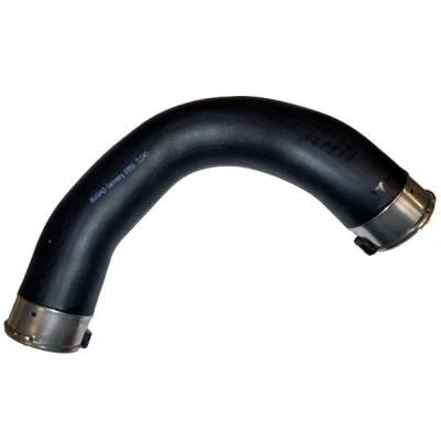 Imagem de BUGIAD 81858 Mangueira Para o Turbocompressor