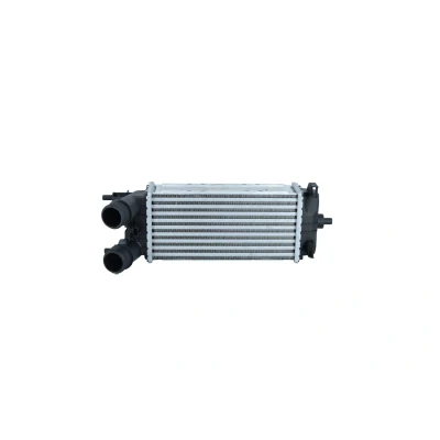 Imagem de Intercooler NRF 309153