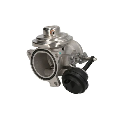 Imagem de NGK 95823 Válvula EGR pneumático com juntas VOLKSWAGEN: Golf 4, Polo IV Hatchback, III SEAT: Ibiza 3, Leon I 2