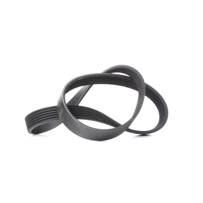 Imagem de CONTITECH 6PK923 Correia trapezoidal estriada 923 6 VOLKSWAGEN: GOLF 3, Polo IV Hatchback, Sharan I, SEAT: Ibiza 2, Alhambra I