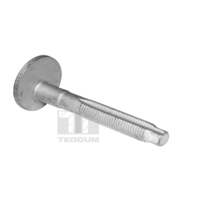 Imagem de Parafuso TEDGUM TED39597
