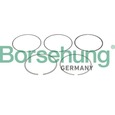 Imagem de Borsehung B10361 Jogo de Anéis do Pistão VOLKSWAGEN: Jetta 4, Polo V Hatchback, Caddy 3, AUDI: A3 Hatchback