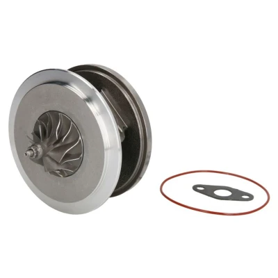 Imagem de Cartucho / CHRA Conjunto do núcleo EVORON EVCH0290