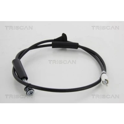 Imagem de Bicha de velocímetro TRISCAN 8140 10407