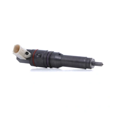 Imagem de DELPHI BEBJ1D00003 Injector