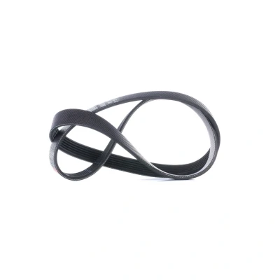 Imagem de GATES 6PK1030SF Correia trapezoidal estriada 1030 6 PA (poliamida), EPDM (borracha de etileno propileno dieno) FleetRunner PowerBand FORD: FIESTA