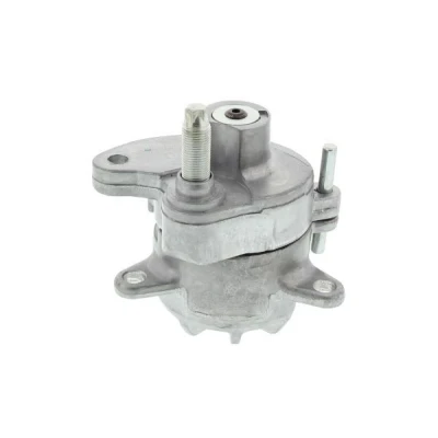 Imagem de MAPCO 24974 Tensor, correia trapezoidal estriada MERCEDES BENZ: Classe E Sedan, C T modell, W124 Sedan