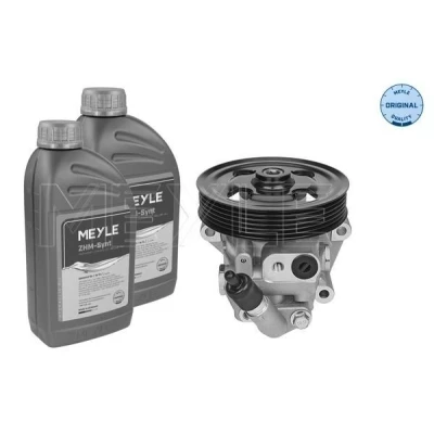 Imagem de MEYLE 714 631 0029/S Bomba de Direção hidráulico com óleo para lavagem FORD: S Max Mk1, Galaxy Mk2 MPV