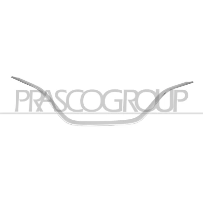 Imagem de PRASCO RN7502305 Friso, grelha do radiador