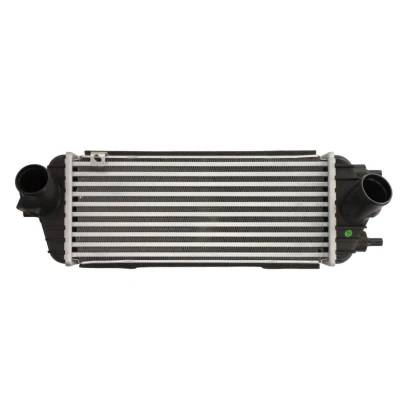 Imagem de THERMOTEC DA03006TT Intercooler
