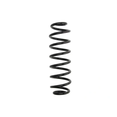 Imagem de Mola de suspensão MAGNUM TECHNOLOGY SW181