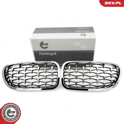 Imagem de ESEN SKV 66SKV192 Grelha de Radiador côr prata BMW: 5 Sedan, Touring