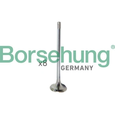 Imagem de Borsehung B10322 Válvula de Admissão