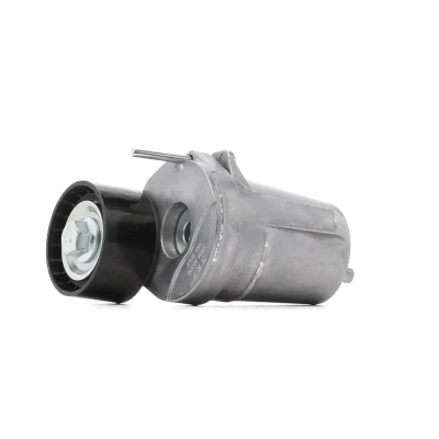 Imagem de SKF VKM 38339 Polia Tensora BMW: 1 Hatchback, 5 Sedan, Coupe