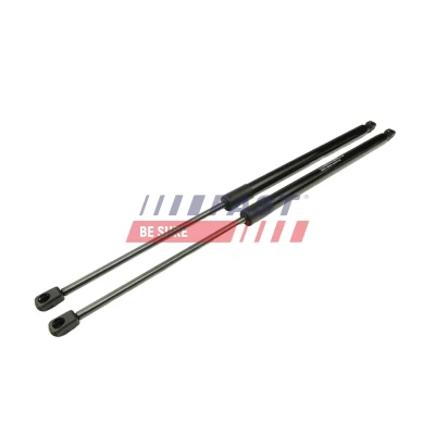 Imagem de FAST FT95907 Elemento de fixação, cobertura do motor